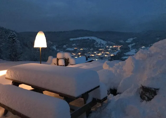 Apartment La Maison De Cecile Ventron