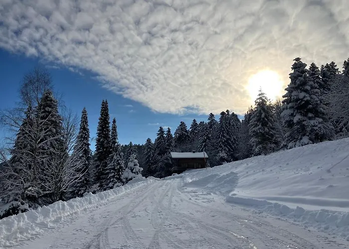 La Maison De Cecile * Ventron