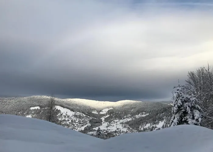 Apartment La Maison De Cecile
